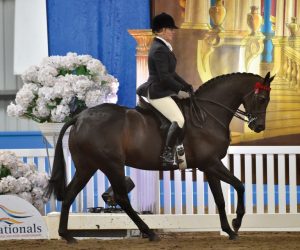 Photo: Derek O’Leary